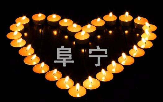 鸷